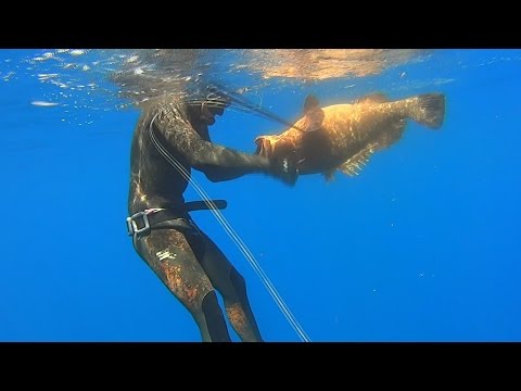 Spearfishing Sea thoughts Ψαροντούφεκο Θαλασσινές σκέψεις