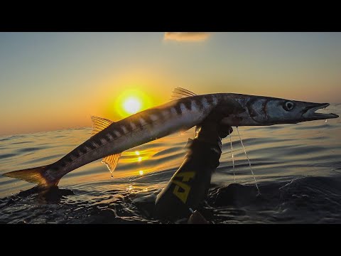 Spearfishing Just Moments After Sunrise
