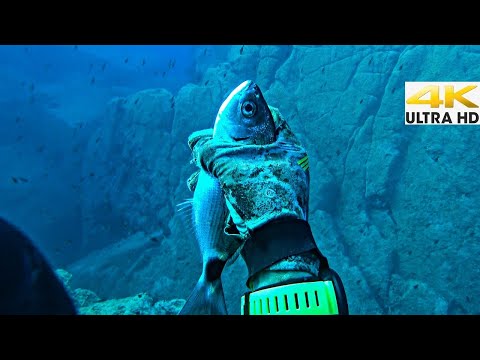 UNEXPECTED Hand Fishing Underwater Compilation