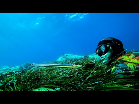 Everyone Should Watch this Fisherman s Video Catch Only The