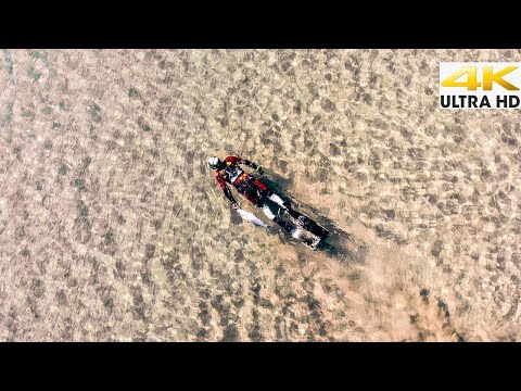 Pole Spearfishing Extremely Shallow Water