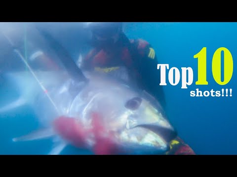 TOP 10 SHOTS BEST SHOTS PESCA SUB Compilation 2023