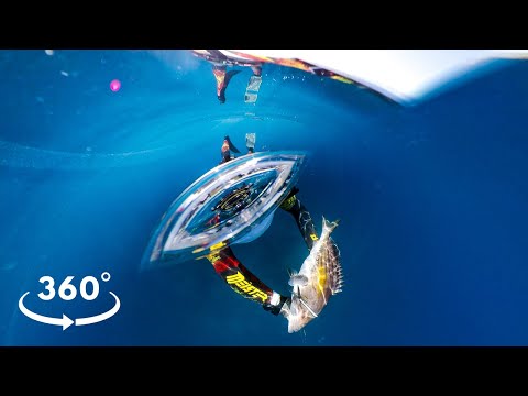 Spearfishing The Ambush 360 VR Experience Underwater
