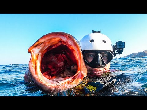 Spearfishing Large Grouper From Deep Underwater Cave