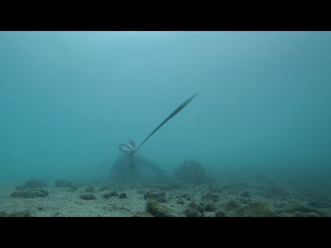ΨΑΡΟΤΟΥΦΕΚΟ ΑΝΑΖΗΤΩΝΤΑΣ ΤΟ ΜΕΓΑΛΟ ΛΑΒΡΑΚΙ