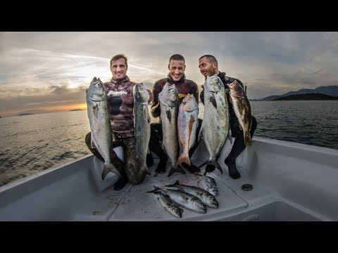 Spearfishing An amazing adventure in the Ionian sea Teaser