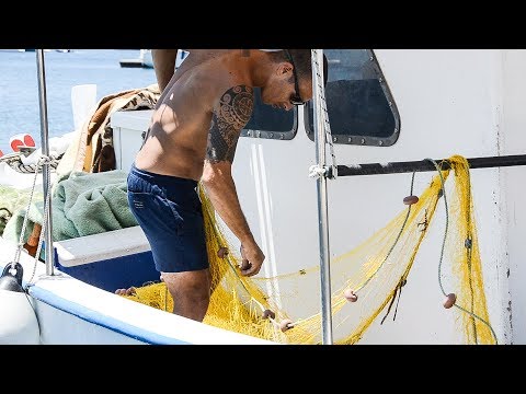Spearfishing and Commercial Fishing Ψαροντούφεκο και