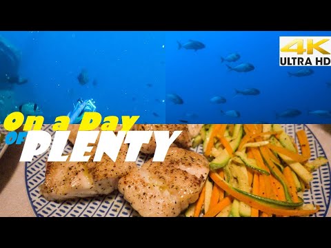 Spearfishing ON A GREAT DAY OF PLENTY