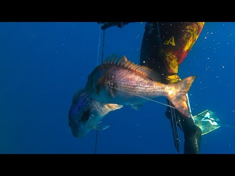 TOP Moment Spearfishing The Double Shot