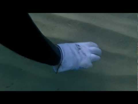 μουρμουρακι catch and release