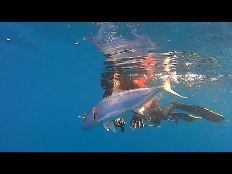 Spearfishing Methana Ψαροντούφεκο στα Μέθανα