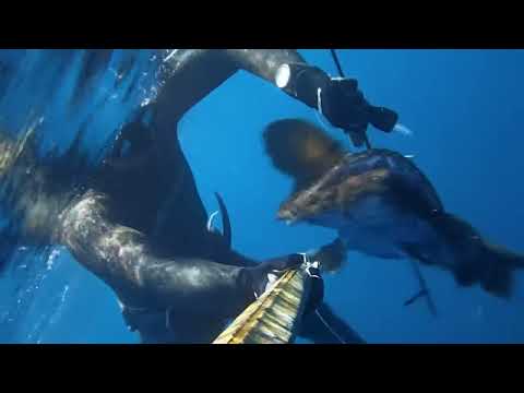 Spearfishing With Friends Guns Ψαροτούφεκο Mε οπλα δανεικα