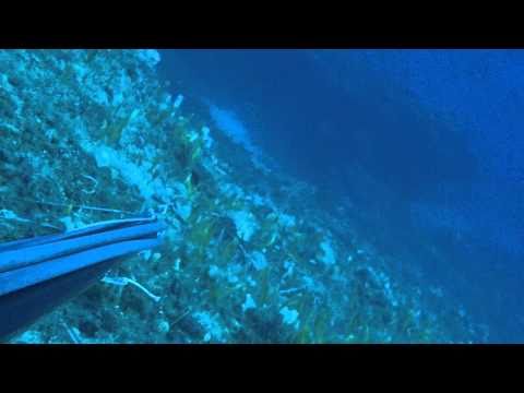 Ροφος 9αρης φιλος