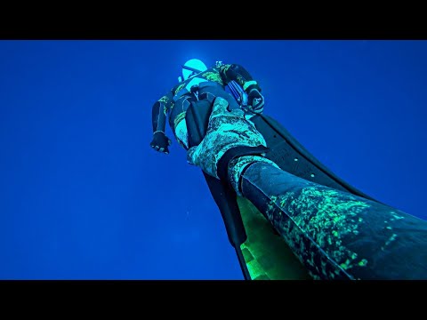 SPEARFISHING WITH THE BOYS Epic Shore Dive Catch and Cook