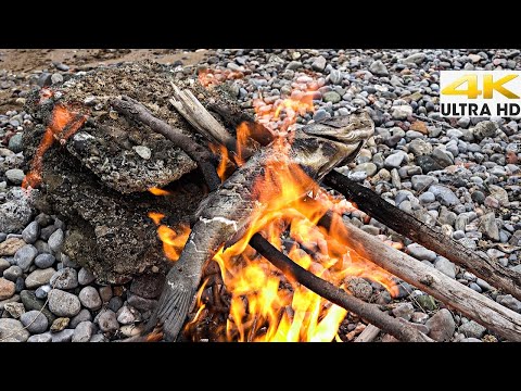 Spearfishing Seabass Survival Catch and Cook