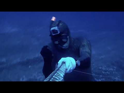 DEEP Awards 2014 video spearfishing Dimos Adamis