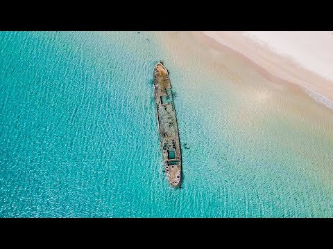 EPIC Spearfishing TRIP Down South