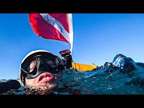 Solo Shore Dive Spearfishing Catch and Cook Mission