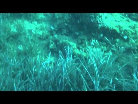 Στηρα κοντινο MOV