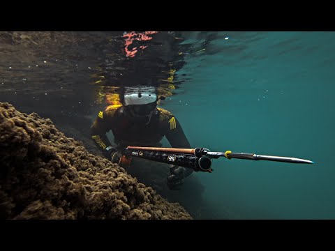 Spearfishing Through the Mist The Quest for Seabass