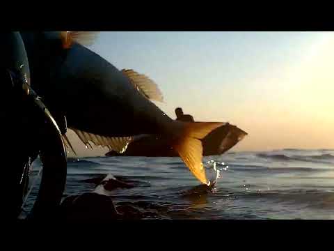 Spearfishing The Bended Shaft Ψαροτούφεκο Η Στραβή Βέργα