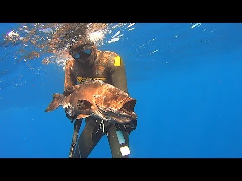 Χορευοντας με τις πιγκες