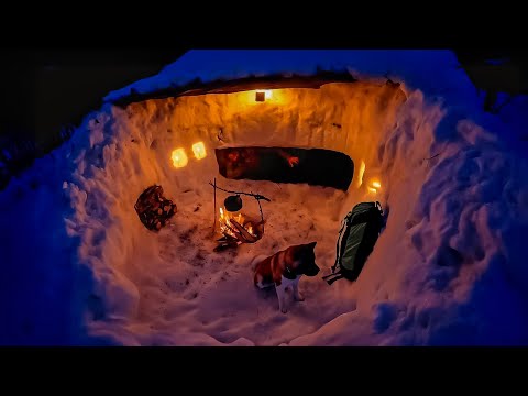 3 Days WINTER CAMPING in Blizzard With My Dog 13 wilderness