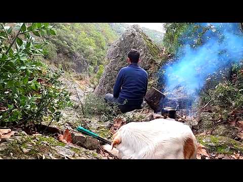 Bushcraft Camp Survival Shelter Building Outdoor Camp