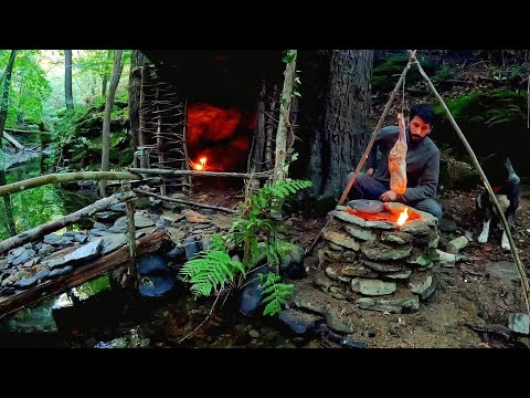Camping in Heavy Rain with My Dog Tandoor Oven Lamb Cooking