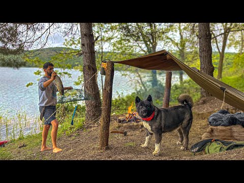 3 DAYS solo survival NO FOOD NO SHELTER Catch and Cook
