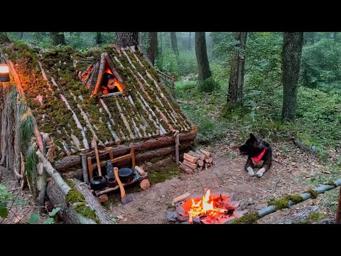 3 Days SOLO SURVIVAL CAMPING Building Warm BUSHCRAFT