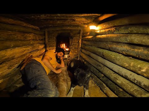 BUSHCRAFT CAMPING Building SURVIVAL UNDERGROUND Shelter