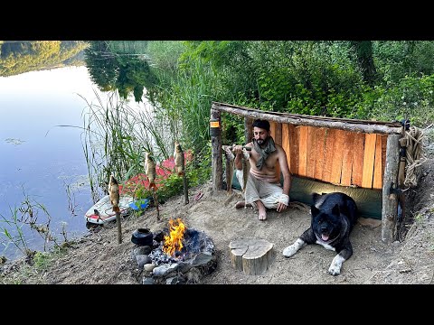 SURVIVAL CHALLENGE NO FOOD NO SHELTER Catch and Cook
