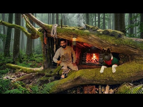 3 Days Solo SURVIVAL in Rainforest TREE HOUSE Bushcraft