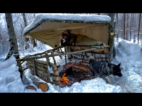 3 Days WINTER CAMPING in Blizzard With My Dog 12 WILDERNESS