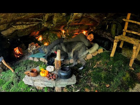 7 Days Solo Survival Camping In Rain Forest Building Warm