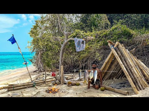 3 DAYS solo survival on island NO FOOD NO WATER NO SHELTER