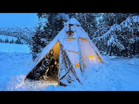 3 Days WINTER CAMPING in Blizzard With My Dog 13 WILDERNESS