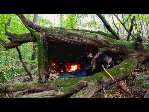 7 Days Solo Survival Camping In Rain Forest Building Warm