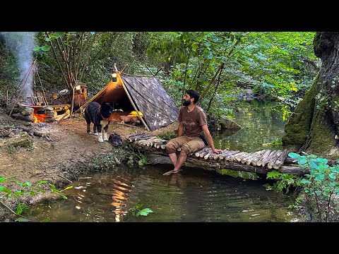 3 DAYS solo survival CAMPING Catch and Cook Primitive