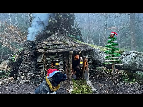 3 DAYS Solo SURVIVAL in the Wilderness Building Bushcraft