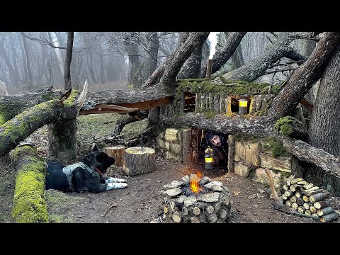 Building a Secret Dugout UNDER a Fallen TREE 3 Days SOLO
