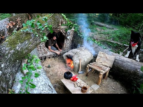 Solo Survival Camping Bushcraft Shelter in The Tree Trunk