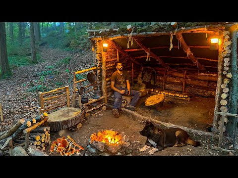 3 Days SOLO SURVIVAL CAMPING In The WILD Building Warm