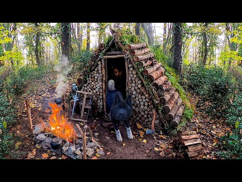 Bushcraft camp in the woods Moss roof shelter Build