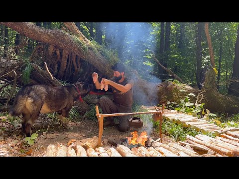 2 Days BUSHCRAFT Solo CAMPING Building Survival SHELTER