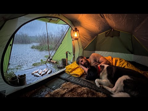 3 Days Solo Camping in Heavy Rain with My Dog Fishing