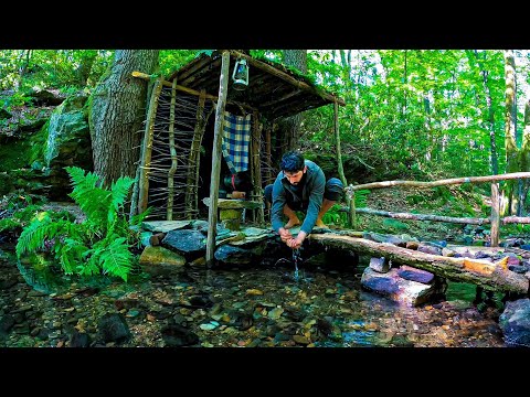 7 Days SURVIVAL Camping In RAIN Forest THUNDER Building