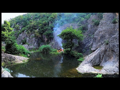 SOLO Two Days CAMPING BUSHCRAFT Camp SURVIVAL Skills