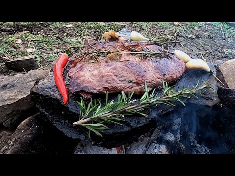 PRIMITIVE SURVIVAL Cooking Meat on a Rock
